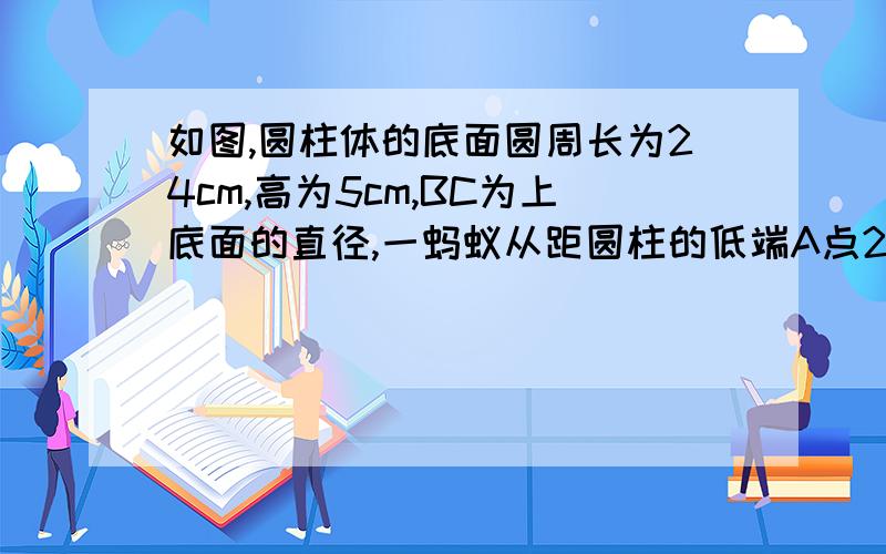 如图,圆柱体的底面圆周长为24cm,高为5cm,BC为上底面的直径,一蚂蚁从距圆柱的低端A点2cm的E处沿着表面圆柱体的底面圆周长为24cm,高为5cm,BC为上底面的直径,一蚂蚁从距圆柱的低端A点2cm的E处沿