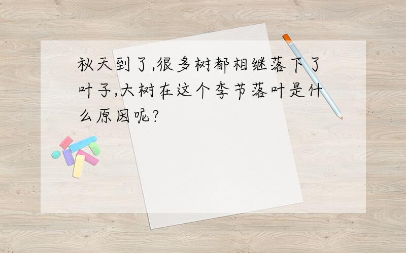 秋天到了,很多树都相继落下了叶子,大树在这个季节落叶是什么原因呢?