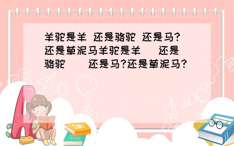 羊驼是羊 还是骆驼 还是马?还是草泥马羊驼是羊   还是骆驼    还是马?还是草泥马?