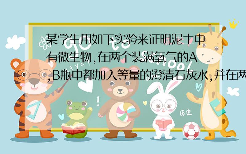 某学生用如下实验来证明泥土中有微生物,在两个装满氧气的A,B瓶中都加入等量的澄清石灰水,并在两瓶内分别放入一个纱布袋,A瓶内的纱布袋内是经过强热的泥土,B瓶内的是未经强热的.1.实验