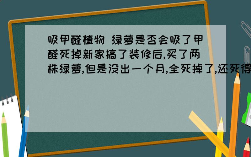 吸甲醛植物 绿萝是否会吸了甲醛死掉新家搞了装修后,买了两株绿萝,但是没出一个月,全死掉了,还死得很难看!求为何?是不是甲醛太强了,导致它死的呢?是否如果绿萝不死了,就证明家中甲醛含