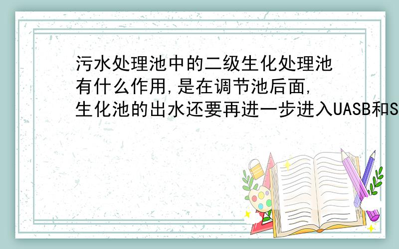 污水处理池中的二级生化处理池有什么作用,是在调节池后面,生化池的出水还要再进一步进入UASB和SBR反应池深度处理,那么这里的二级生化处理池主要起什么作用的?