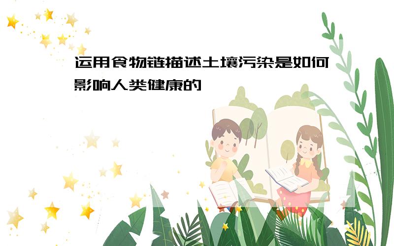 运用食物链描述土壤污染是如何影响人类健康的