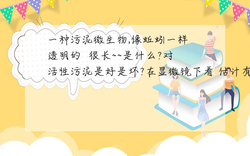 一种污泥微生物,像蚯蚓一样 透明的  很长~~是什么?对活性污泥是好是坏?在显微镜下看 估计有20公分~