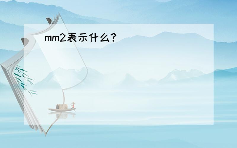 mm2表示什么?