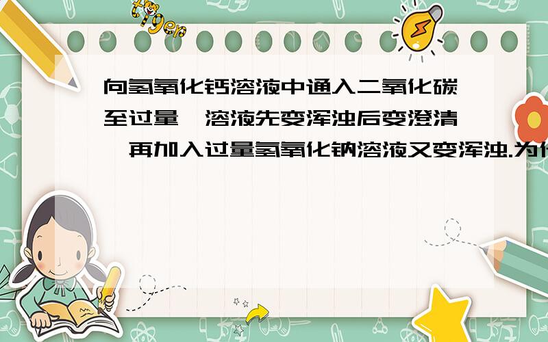 向氢氧化钙溶液中通入二氧化碳至过量,溶液先变浑浊后变澄清,再加入过量氢氧化钠溶液又变浑浊.为什么后面加入过量氢氧化钠溶液又变浑浊?