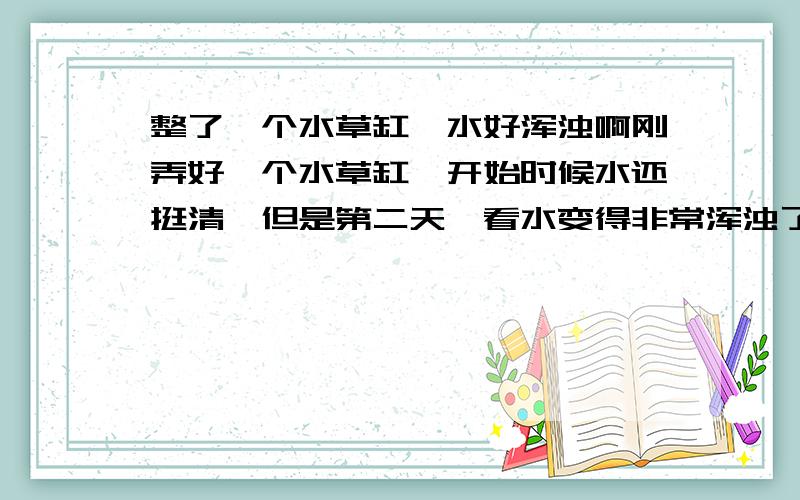 整了一个水草缸,水好浑浊啊刚弄好一个水草缸,开始时候水还挺清,但是第二天一看水变得非常浑浊了,请勿复制粘贴,缸里只有底砂、造景石和水草,没有鱼虾等生物. 上虑