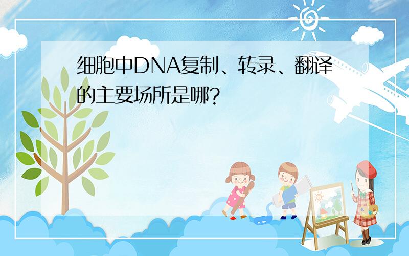 细胞中DNA复制、转录、翻译的主要场所是哪?