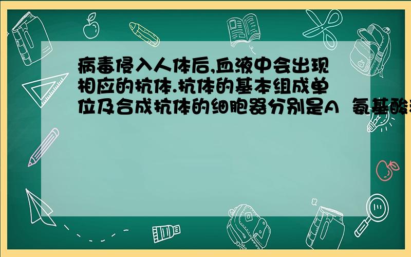 病毒侵入人体后,血液中会出现相应的抗体.抗体的基本组成单位及合成抗体的细胞器分别是A  氨基酸和核糖体,B 氨基酸和高尔基体,C 核苷酸和核糖体,D 核苷酸和高尔基体 要详解 谢!