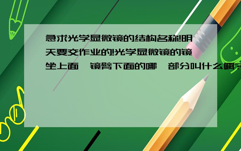 急求光学显微镜的结构名称!明天要交作业的!光学显微镜的镜坐上面,镜臂下面的哪一部分叫什么啊?