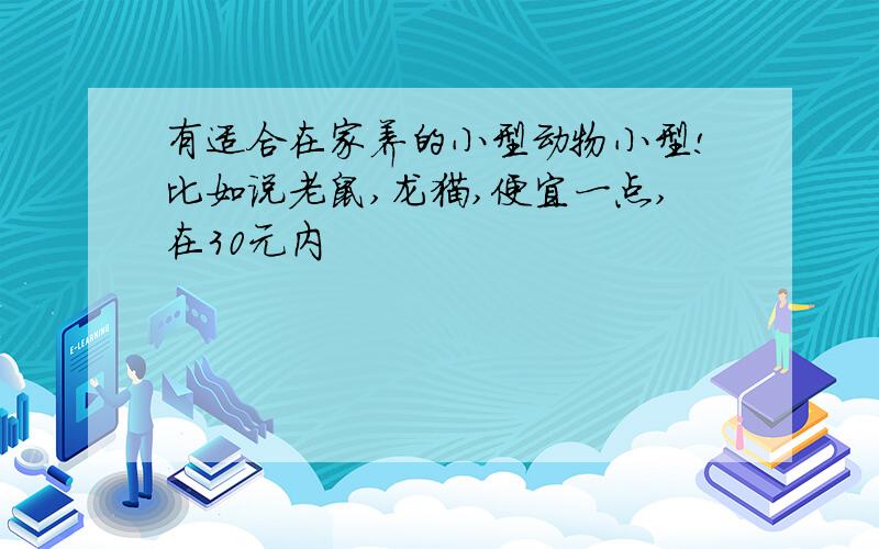 有适合在家养的小型动物小型!比如说老鼠,龙猫,便宜一点,在30元内