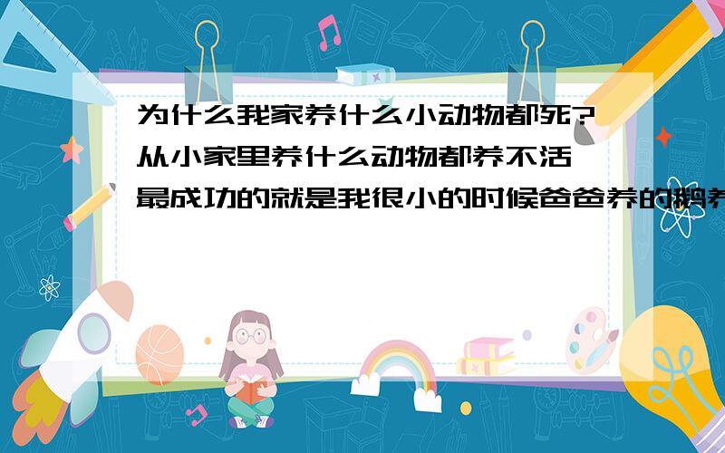 为什么我家养什么小动物都死?从小家里养什么动物都养不活 最成功的就是我很小的时候爸爸养的鹅养大过 其他的就再也没有养活过 我都是很精心喂养 不知道为什么总死 我家住楼房 难道是