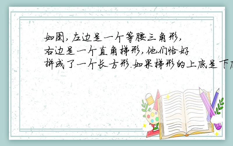 如图,左边是一个等腰三角形,右边是一个直角梯形,他们恰好拼成了一个长方形.如果梯形的上底是下底的1/5,那么三角形的面积是梯形的（   ）%.