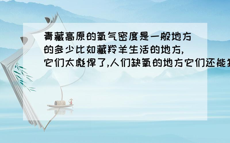 青藏高原的氧气密度是一般地方的多少比如藏羚羊生活的地方,它们太彪悍了,人们缺氧的地方它们还能狂飙,那里的氧气密度是我们生活的地方的多少呢