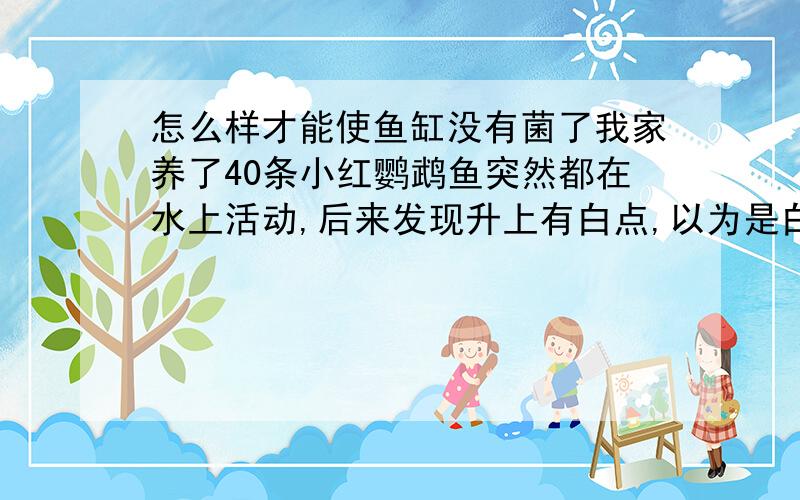 怎么样才能使鱼缸没有菌了我家养了40条小红鹦鹉鱼突然都在水上活动,后来发现升上有白点,以为是白点病了,就把温度嫁到30度后方的盐,没过多长时间鱼就全死了,怎么回事,现在我想清缸怎么