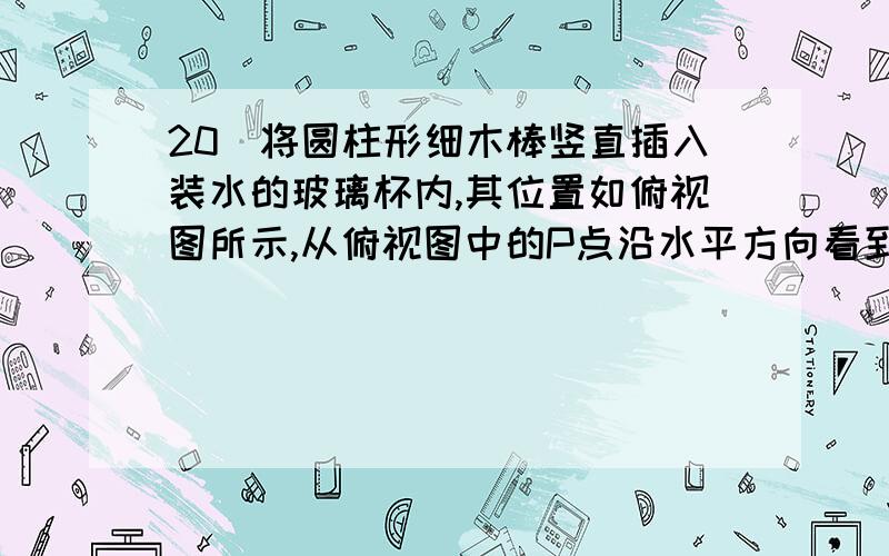 20．将圆柱形细木棒竖直插入装水的玻璃杯内,其位置如俯视图所示,从俯视图中的P点沿水平方向看到的应该是下面四幅图中的