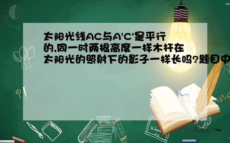 太阳光线AC与A'C'是平行的,同一时两根高度一样木杆在太阳光的照射下的影子一样长吗?题目中并没有说明两根木杆垂直于地面,我们要认识到,两根不同长度的木杆在同一平面也可以做到高度相