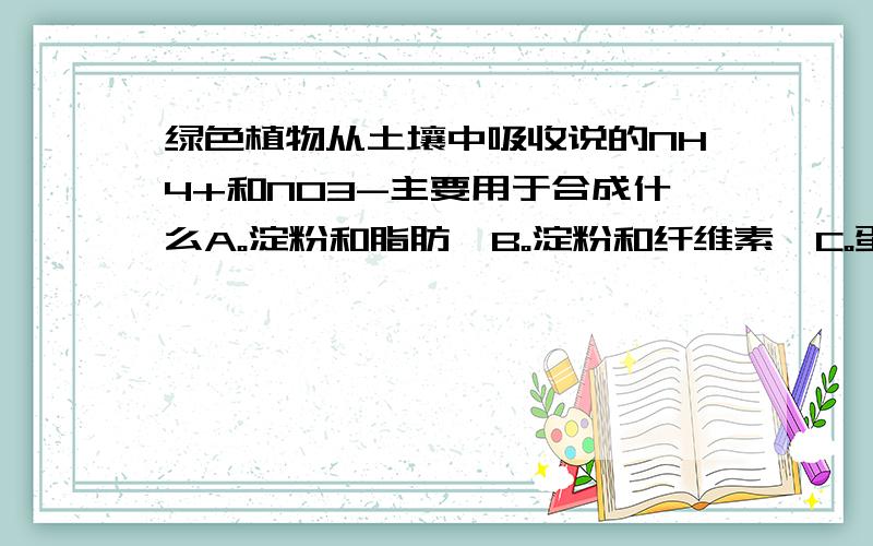 绿色植物从土壤中吸收说的NH4+和NO3-主要用于合成什么A。淀粉和脂肪  B。淀粉和纤维素  C。蛋白质和糖类  D。蛋白质和核酸