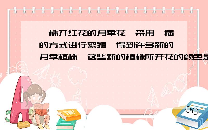 一株开红花的月季花,采用扦插的方式进行繁殖,得到许多新的月季植株,这些新的植株所开花的颜色是A.白色 B.红色 C.白色或红色 D.无法判断说明理由