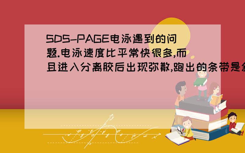 SDS-PAGE电泳遇到的问题.电泳速度比平常快很多,而且进入分离胶后出现弥散,跑出的条带是斜,条带越跑越宽这是今天开始跑的情况，很是不正常