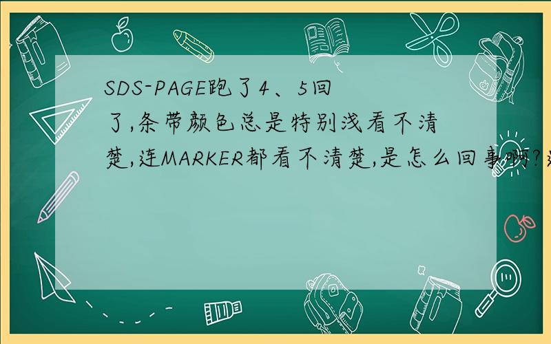 SDS-PAGE跑了4、5回了,条带颜色总是特别浅看不清楚,连MARKER都看不清楚,是怎么回事啊?连着练了好几天了,每次都不出结果,用相同的样品在别人制的胶上面跑出来就看的清楚,不知道制胶的时候