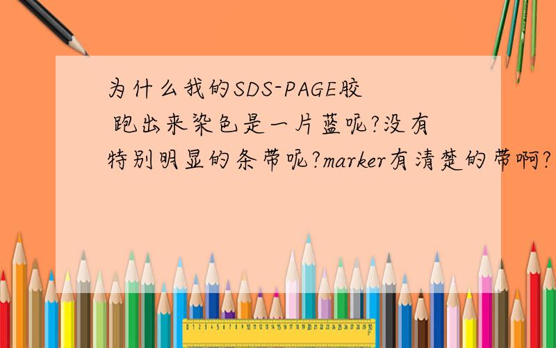 为什么我的SDS-PAGE胶 跑出来染色是一片蓝呢?没有特别明显的条带呢?marker有清楚的带啊?我上的是超声波处理的菌液,和超声波处理的菌液离心后的上清液.真的是跪求了