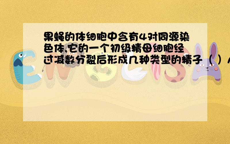 果蝇的体细胞中含有4对同源染色体,它的一个初级精母细胞经过减数分裂后形成几种类型的精子（ ）A.2种 B.4种 C.8种 D.16种 why