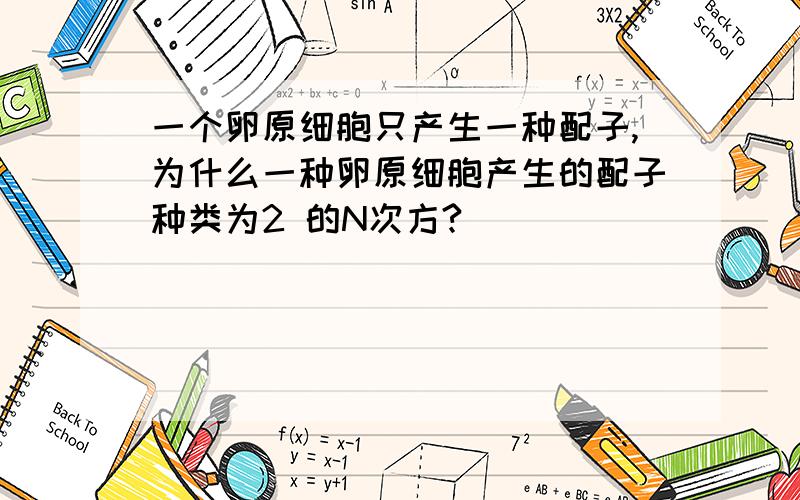 一个卵原细胞只产生一种配子,为什么一种卵原细胞产生的配子种类为2 的N次方?