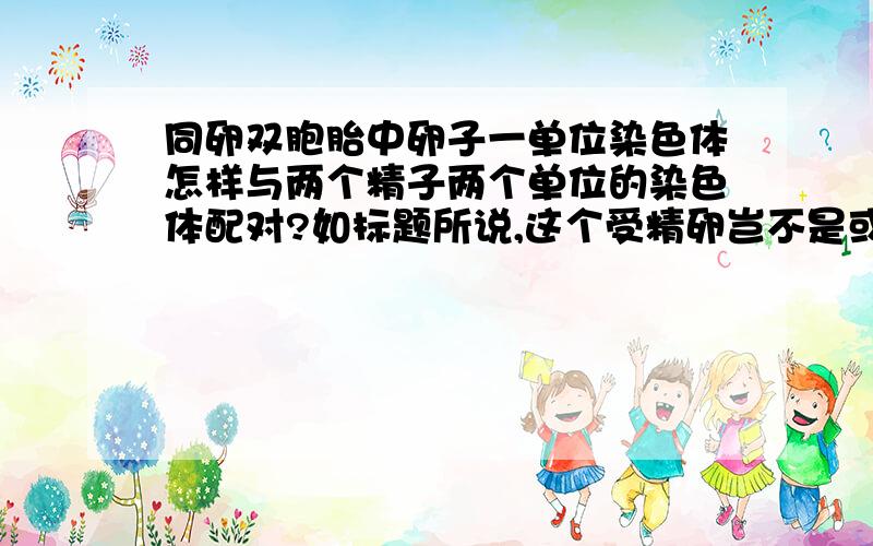 同卵双胞胎中卵子一单位染色体怎样与两个精子两个单位的染色体配对?如标题所说,这个受精卵岂不是或类似三倍体吗?岂能发育成两个正常婴儿的?