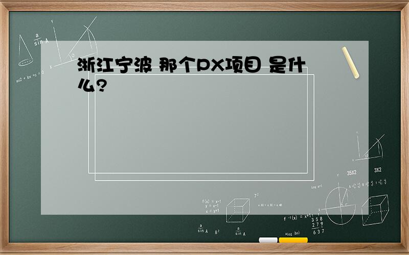 浙江宁波 那个PX项目 是什么?