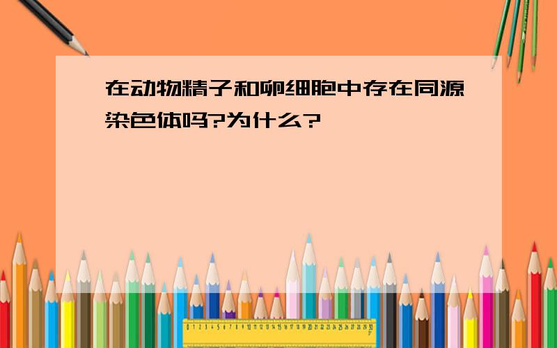 在动物精子和卵细胞中存在同源染色体吗?为什么?