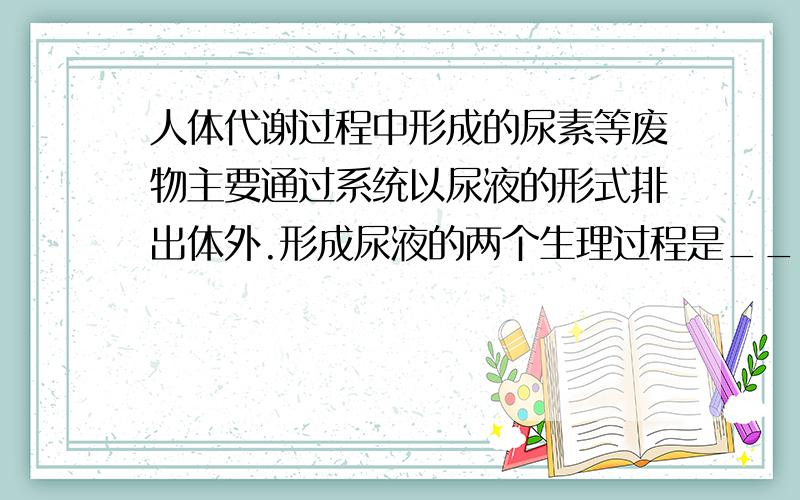 人体代谢过程中形成的尿素等废物主要通过系统以尿液的形式排出体外.形成尿液的两个生理过程是____