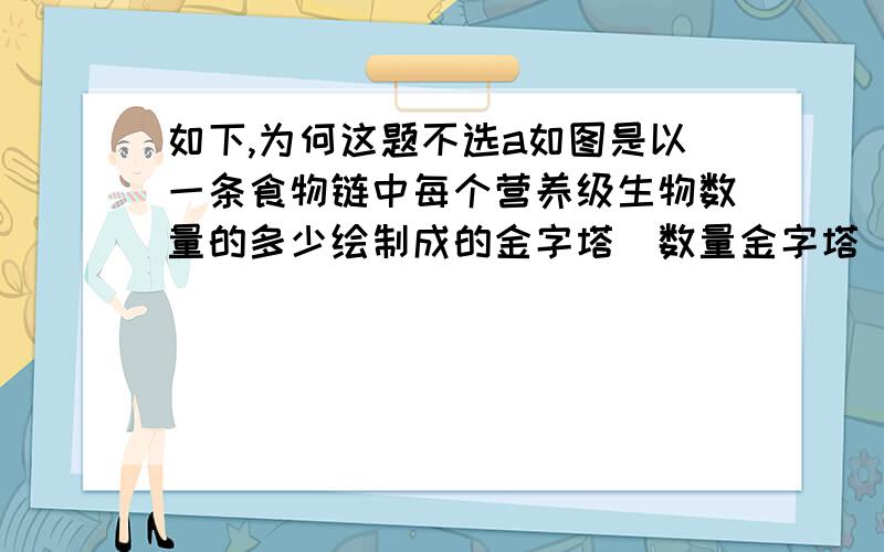 如下,为何这题不选a如图是以一条食物链中每个营养级生物数量的多少绘制成的金字塔（数量金字塔）,其中1、2、3分别代表第一、二、三各营养级的生物．下面各食物链中,与该金字塔最相符