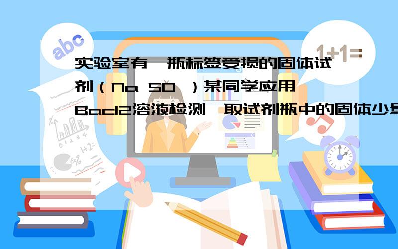 实验室有一瓶标签受损的固体试剂（Na SO ）某同学应用Bacl2溶液检测,取试剂瓶中的固体少量于试管中,加适量蒸馏水溶解,在所得溶液中加入过量Bacl2溶液,得到白色沉淀.由此,该同学推断这瓶试