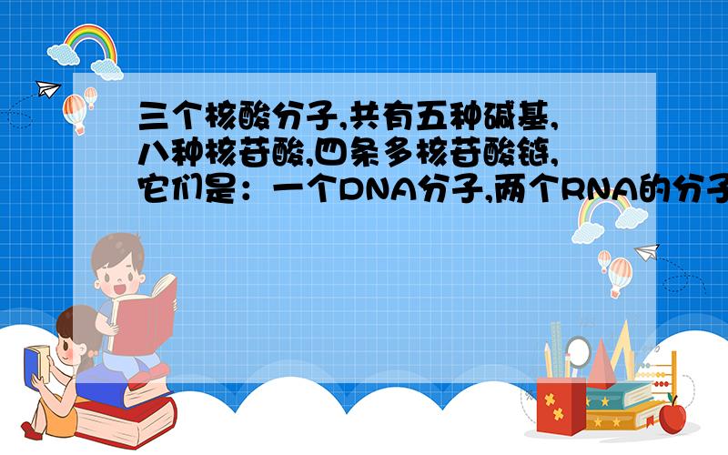 三个核酸分子,共有五种碱基,八种核苷酸,四条多核苷酸链,它们是：一个DNA分子,两个RNA的分子．WHY