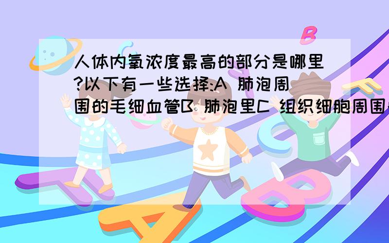 人体内氧浓度最高的部分是哪里?以下有一些选择:A 肺泡周围的毛细血管B 肺泡里C 组织细胞周围的毛细血管D 组织细胞里