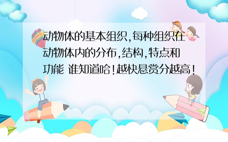 动物体的基本组织,每种组织在动物体内的分布,结构,特点和功能 谁知道哈!越快悬赏分越高!