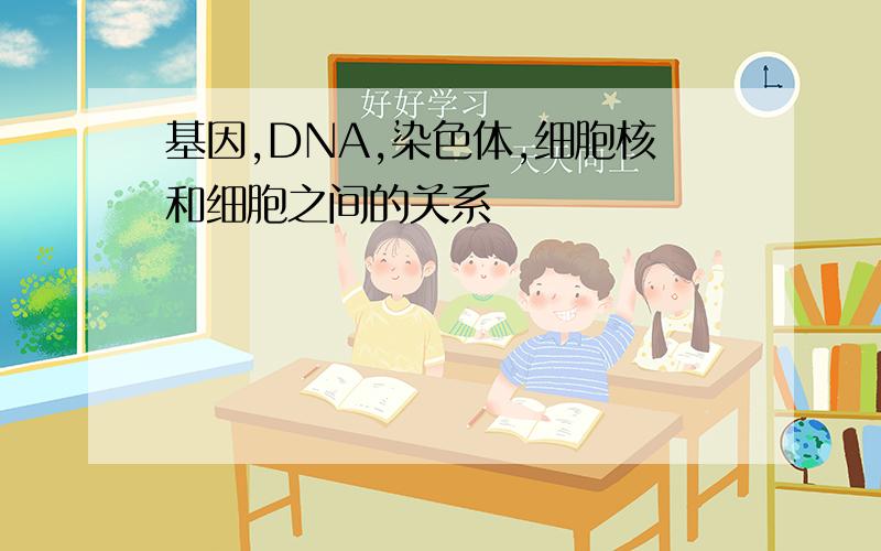 基因,DNA,染色体,细胞核和细胞之间的关系