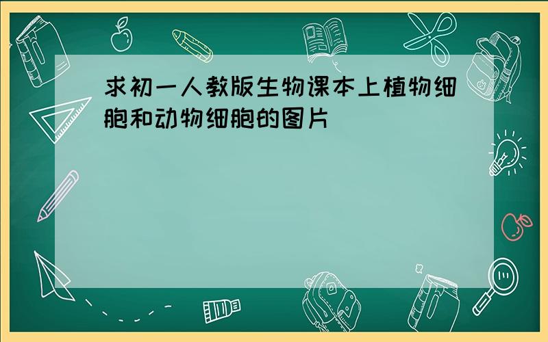 求初一人教版生物课本上植物细胞和动物细胞的图片