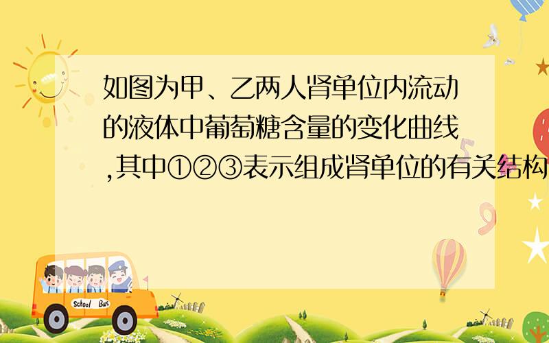 如图为甲、乙两人肾单位内流动的液体中葡萄糖含量的变化曲线,其中①②③表示组成肾单位的有关结构．下列分析错误的是A．②为肾小囊,其内液体为原尿   B．③是肾小管,此处进行了重吸