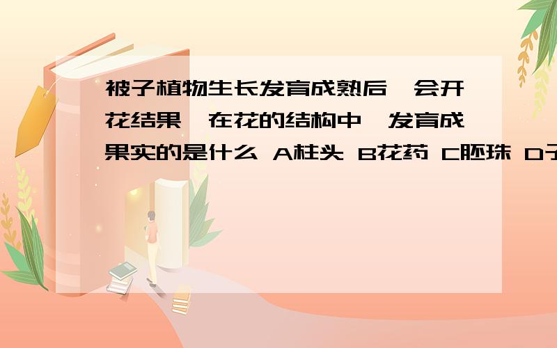 被子植物生长发育成熟后,会开花结果,在花的结构中,发育成果实的是什么 A柱头 B花药 C胚珠 D子房