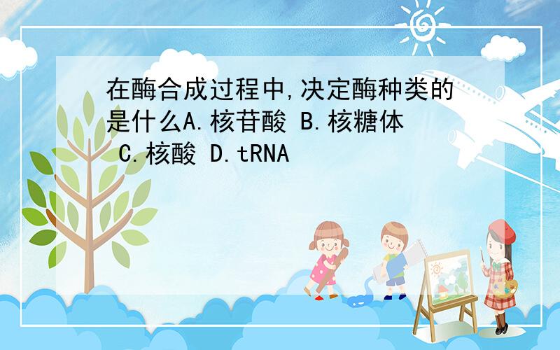 在酶合成过程中,决定酶种类的是什么A.核苷酸 B.核糖体 C.核酸 D.tRNA