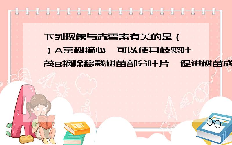 下列现象与赤霉素有关的是（ ）A茶树摘心,可以使其枝繁叶茂B摘除移栽树苗部分叶片,促进树苗成活C密封未成熟果实,促进果实成熟D溪水浸泡水稻种子,促进发芽好吧我生物不扎实,第一个应该