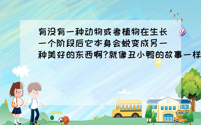 有没有一种动物或者植物在生长一个阶段后它本身会蜕变成另一种美好的东西啊?就像丑小鸭的故事一样.知道的请帮帮忙就是男性化一点的?形容人努力奋斗后的美好现状的东西!兰花太女人了