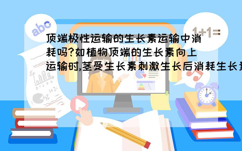 顶端极性运输的生长素运输中消耗吗?如植物顶端的生长素向上运输时,茎受生长素刺激生长后消耗生长素吗?生长素运输是从形态学上端一直运输到形态学最下端吗,如从树顶一直到根的最低点