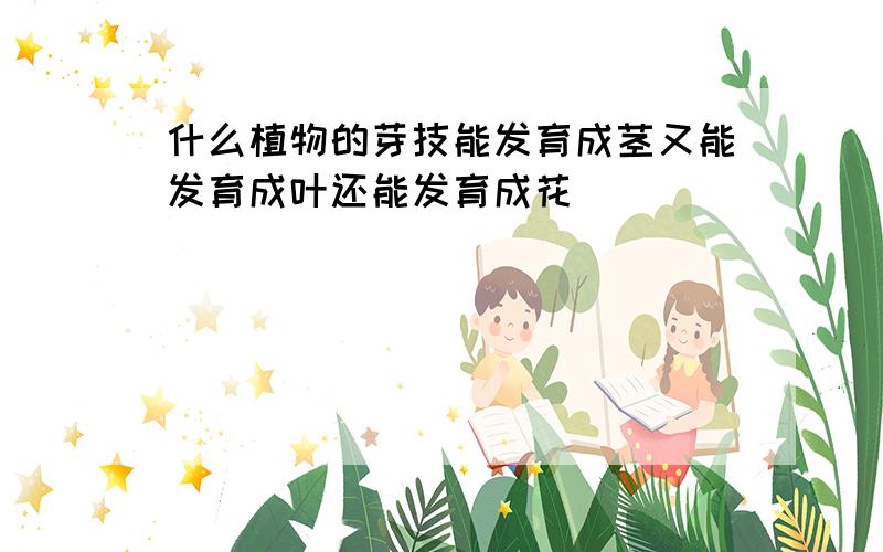 什么植物的芽技能发育成茎又能发育成叶还能发育成花