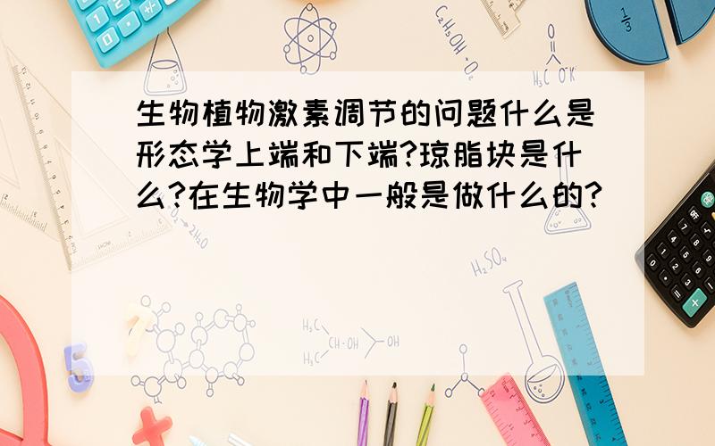 生物植物激素调节的问题什么是形态学上端和下端?琼脂块是什么?在生物学中一般是做什么的?