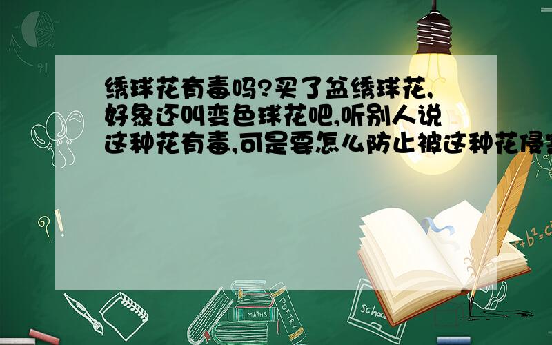 绣球花有毒吗?买了盆绣球花,好象还叫变色球花吧,听别人说这种花有毒,可是要怎么防止被这种花侵害呢?最重要的一点是放在室内闻起来会不会中毒呢?这种花会不会释放毒气呢?