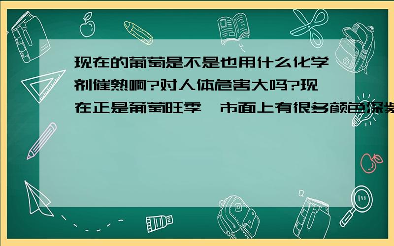 现在的葡萄是不是也用什么化学剂催熟啊?对人体危害大吗?现在正是葡萄旺季,市面上有很多颜色深紫、深红的葡萄,色泽诱人.就是前不久买的葡萄让我产生了疑问,一串色泽诱人的葡萄里有一