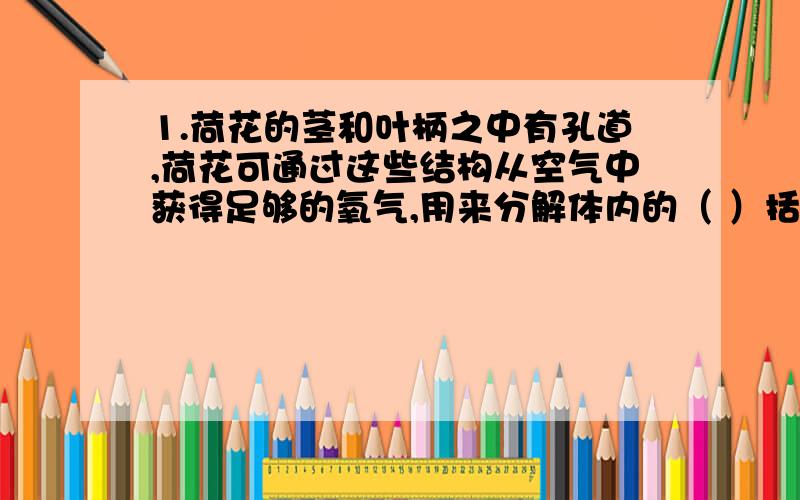 1.荷花的茎和叶柄之中有孔道,荷花可通过这些结构从空气中获得足够的氧气,用来分解体内的（ ）括号里填什么帮帮忙